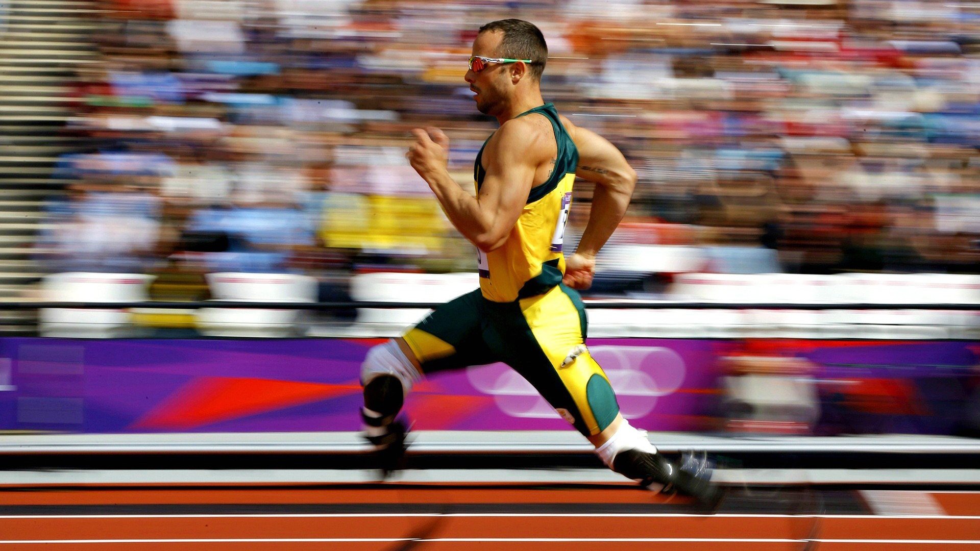 “科技革新：人工智能助力赛场变革”，人工智能高科技